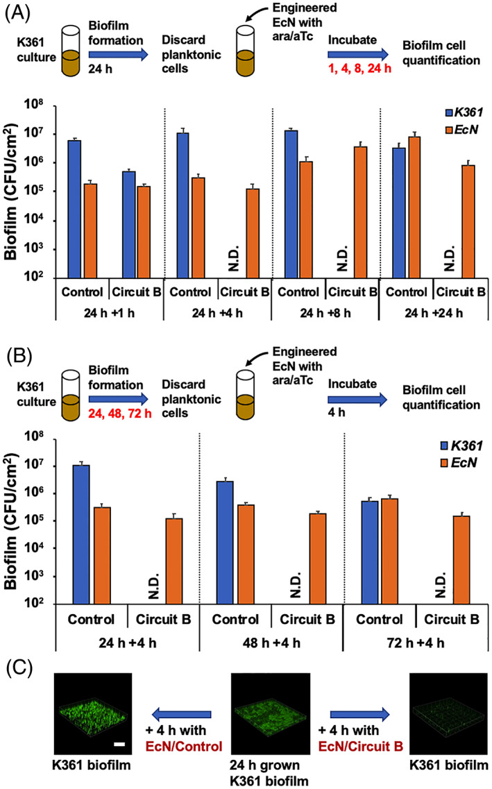 FIGURE 4