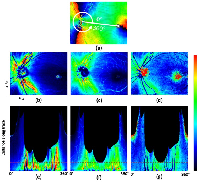 Fig. 8