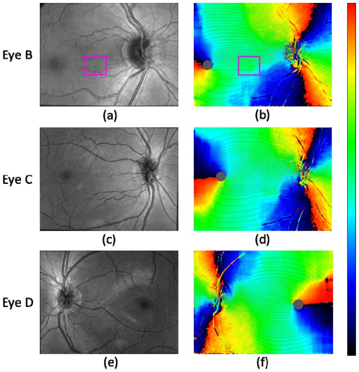 Fig. 7