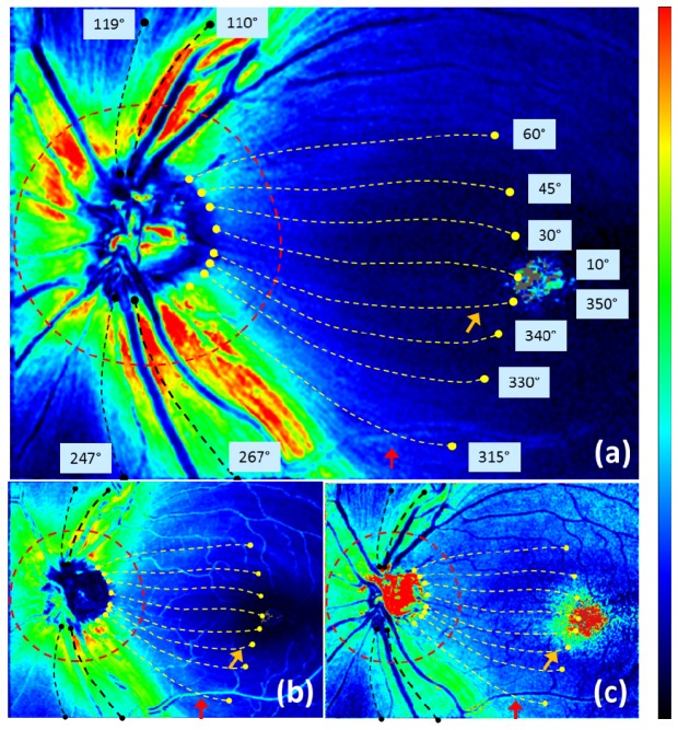 Fig. 10