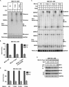 FIG 6