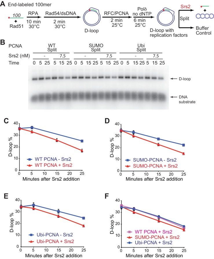 Figure 7—figure supplement 2.