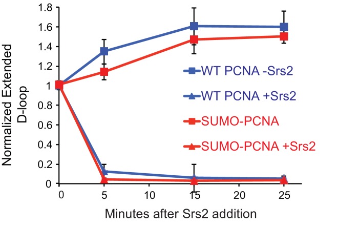 Figure 5—figure supplement 1.