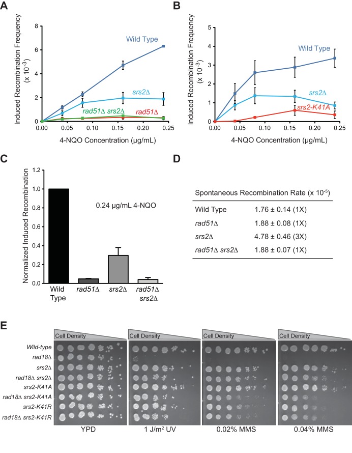 Figure 1—figure supplement 2.