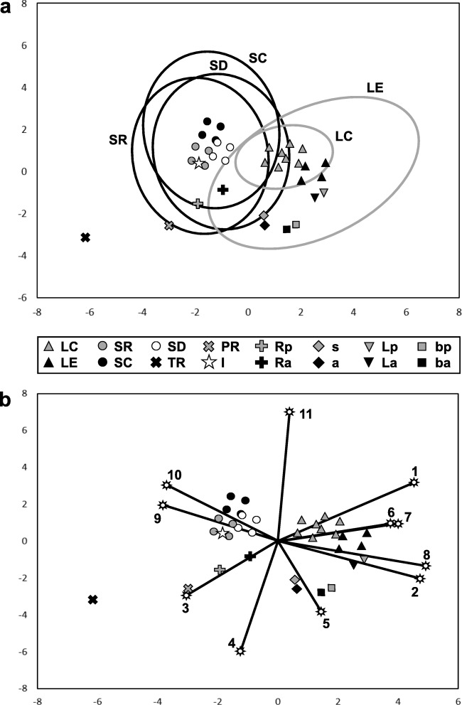 Fig. 9