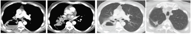 Fig. (5)