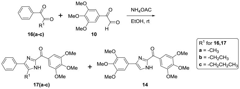 Scheme 5