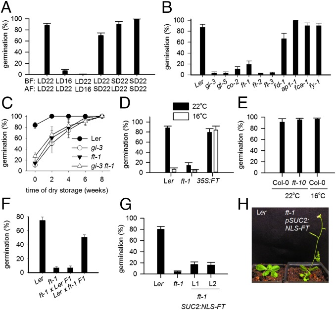 Maternal temperature history activates Flowering Locus T in fruits to ...