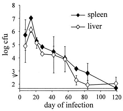 FIG. 1.