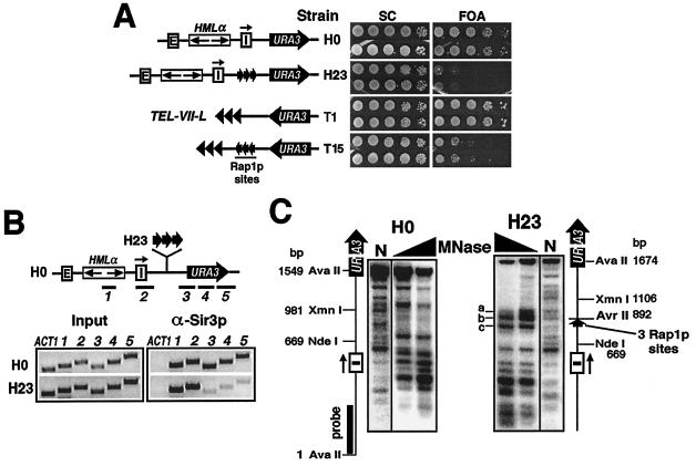 FIG. 6.