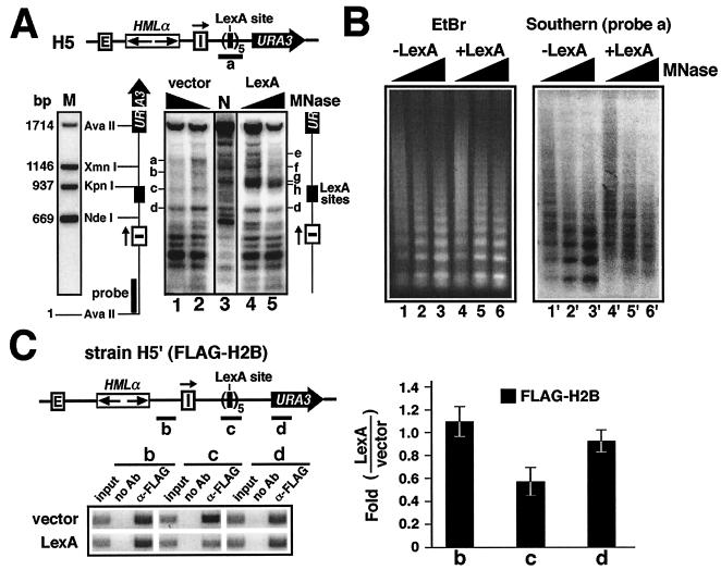 FIG. 3.