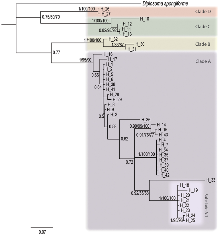 Figure 2