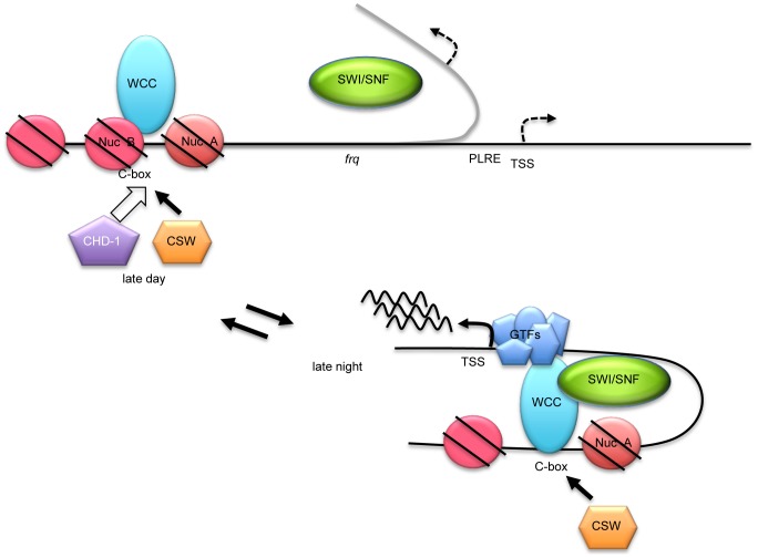 Figure 7