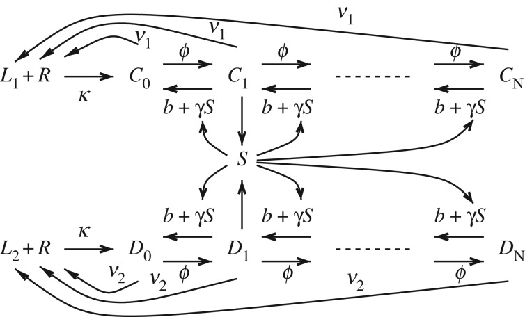 Figure 1.