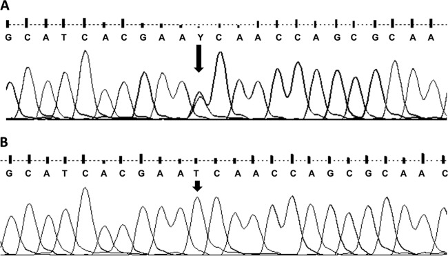 Fig 4