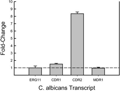 FIG. 6.