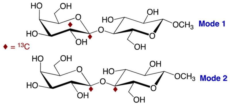 Scheme 4