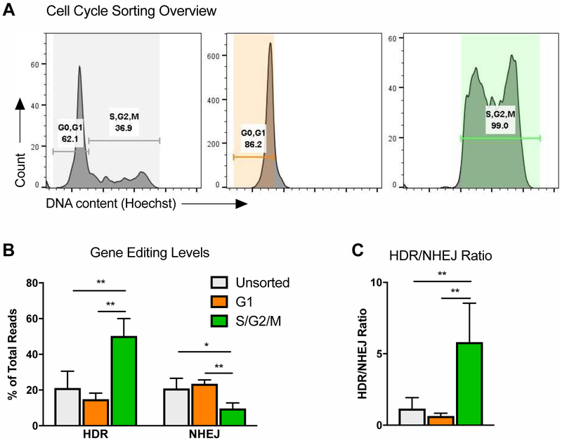 Figure 3: