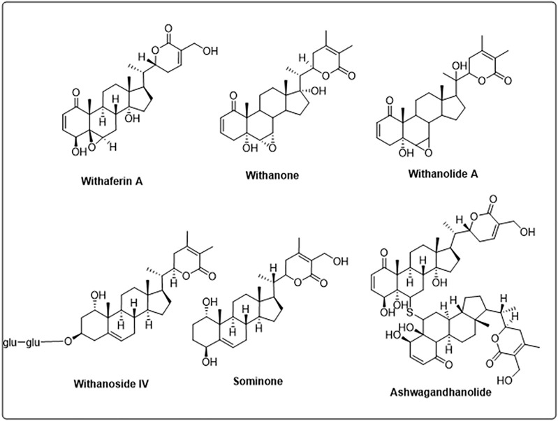 FIGURE 2