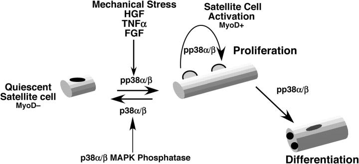 Figure 9.