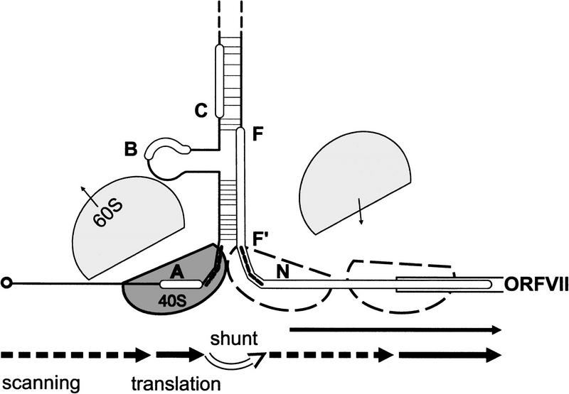 Figure 8