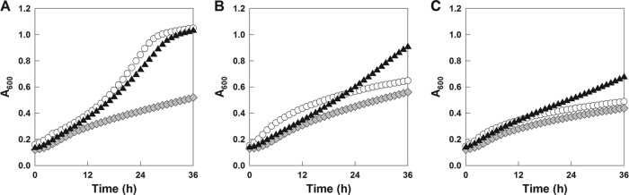 Fig 5