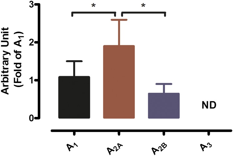 Fig. 6.