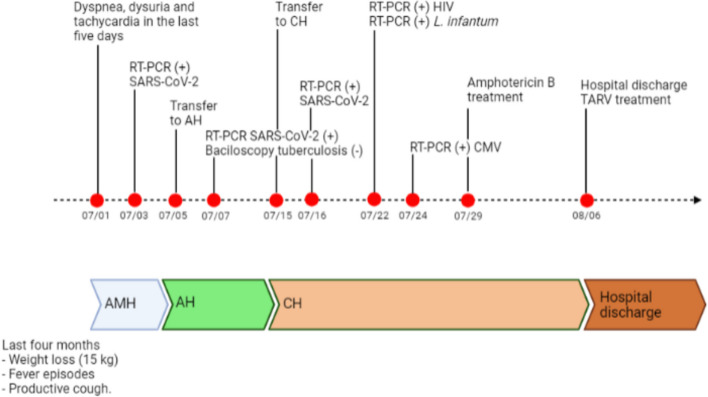 Fig. 1