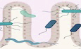 graphic file with name 44321_2024_185_Figa_HTML.jpg