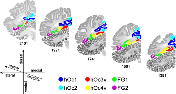 Fig. 4