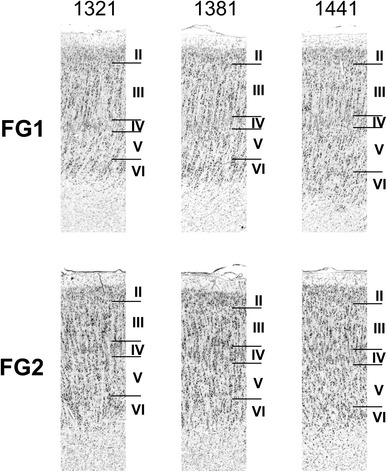 Fig. 6