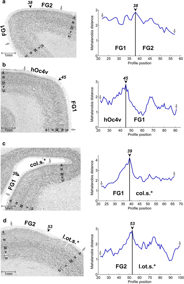 Fig. 8