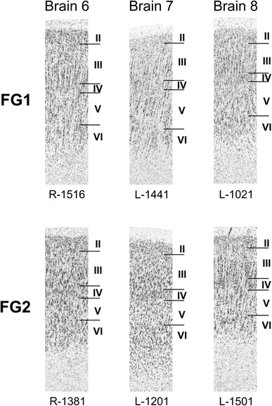 Fig. 7