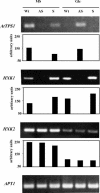 Figure 6.
