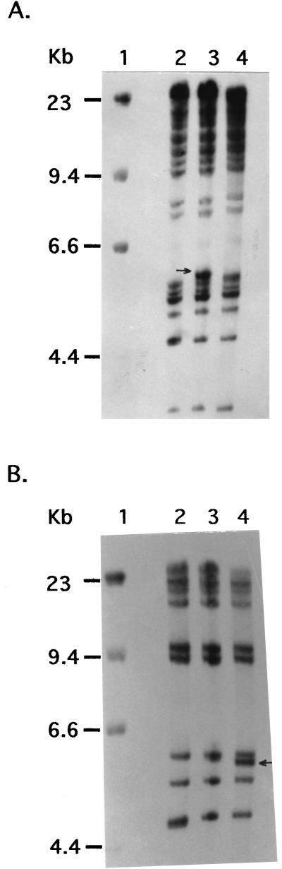 FIG. 5