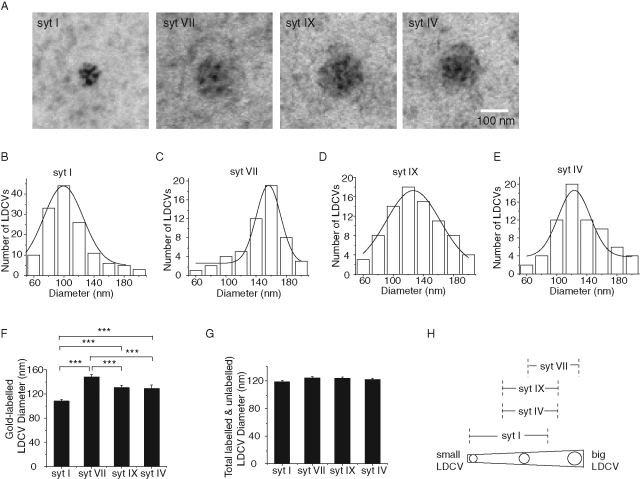 FIGURE 1: