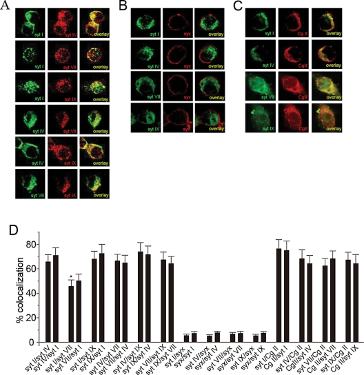 FIGURE 3: