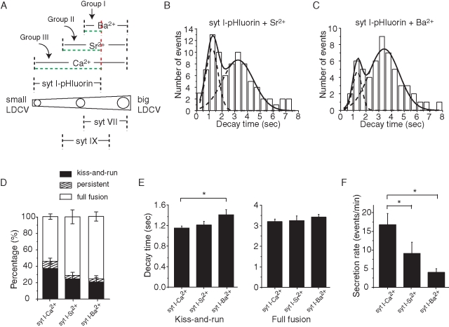 FIGURE 5: