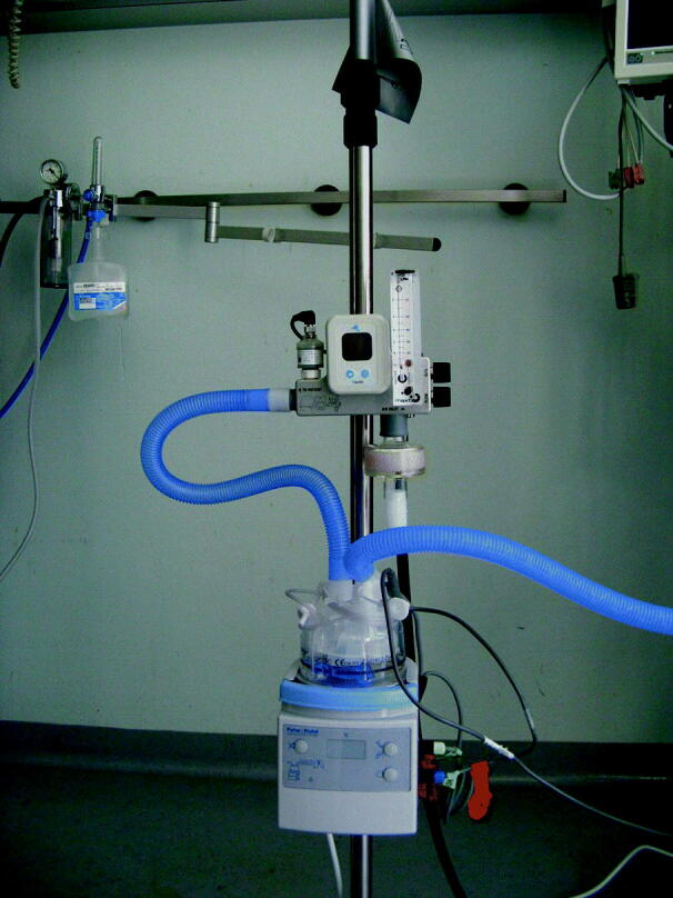 graphic file with name 6376_9_De_54_Fig8_HTML.jpg