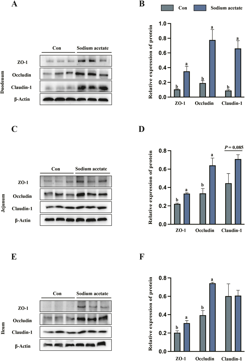 Fig. 3