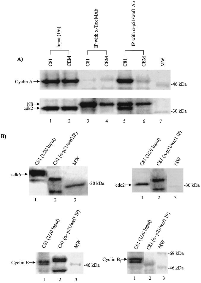 FIG. 3