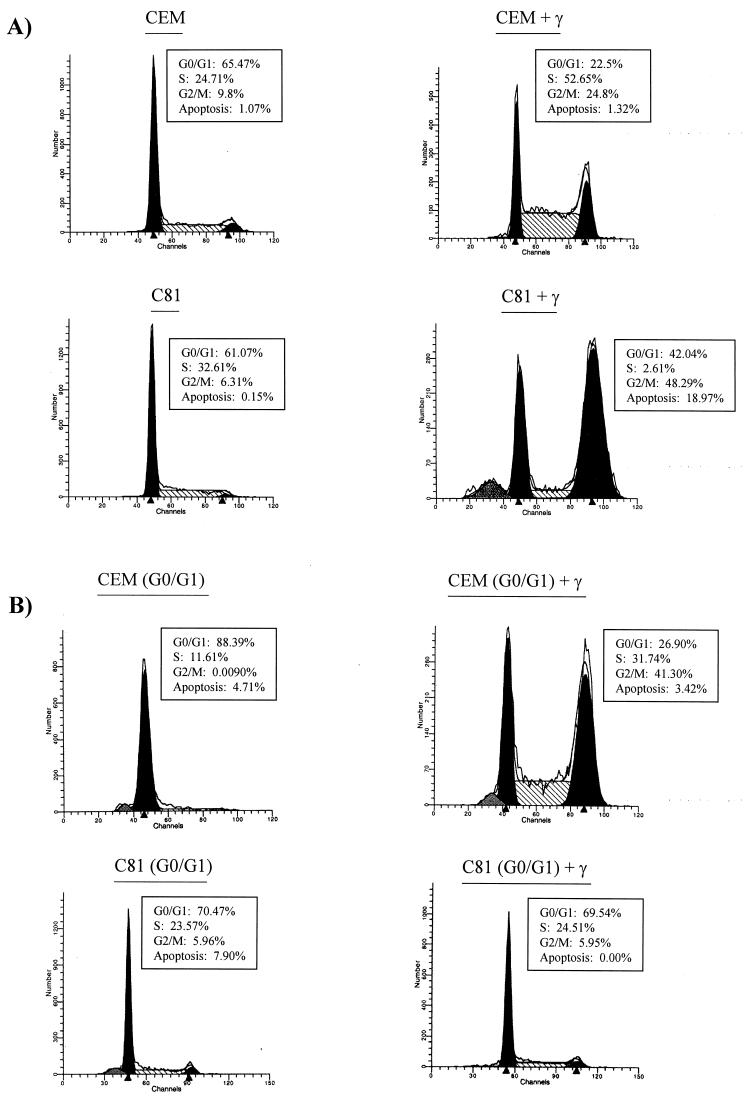 FIG. 6