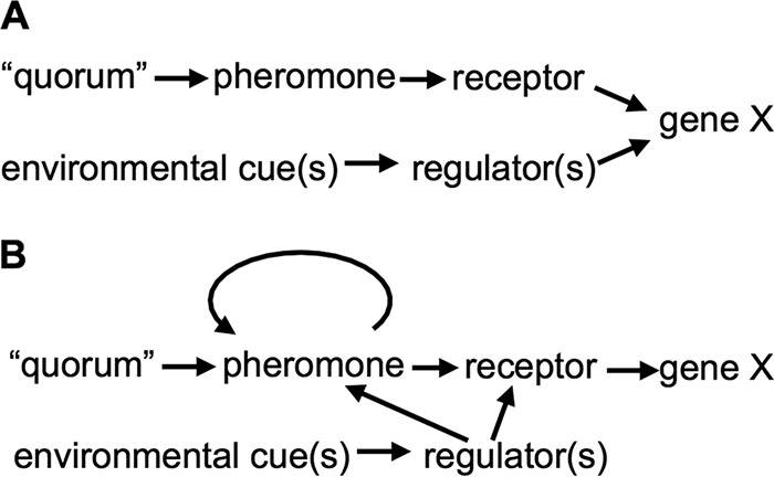 FIG 2 