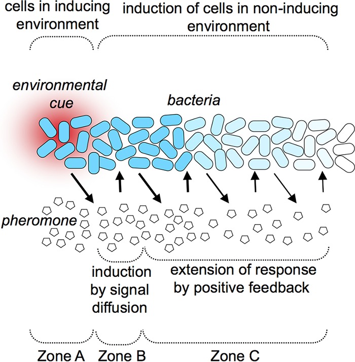 FIG 3 