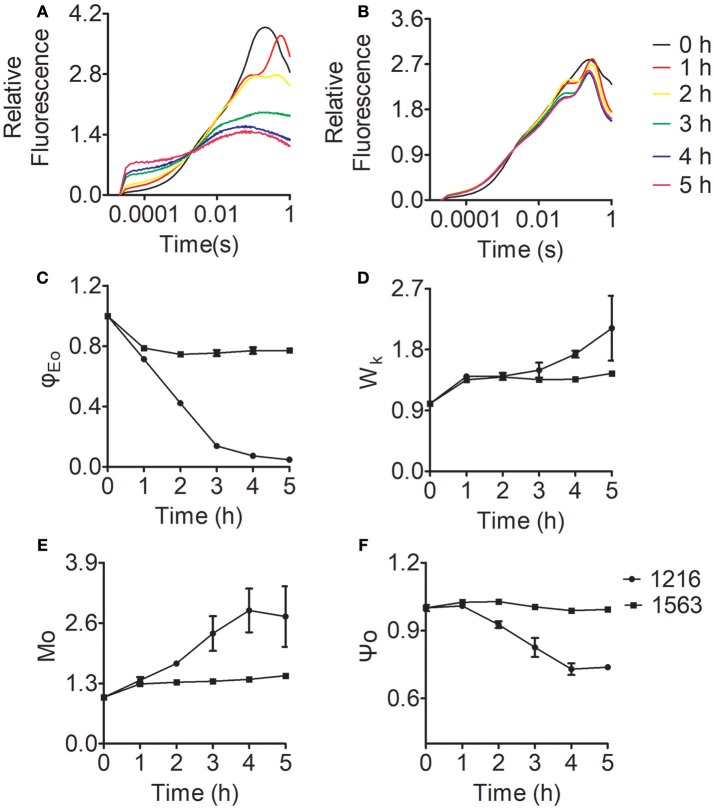 Figure 9