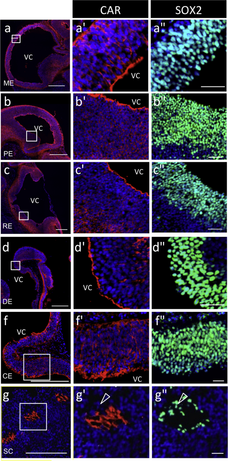 Fig. 2