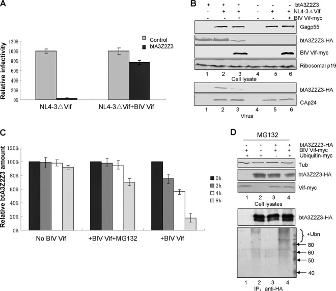 FIG 1