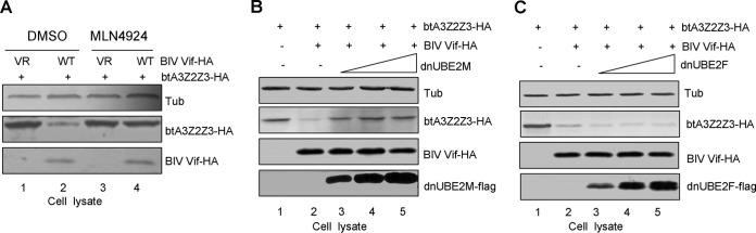 FIG 8