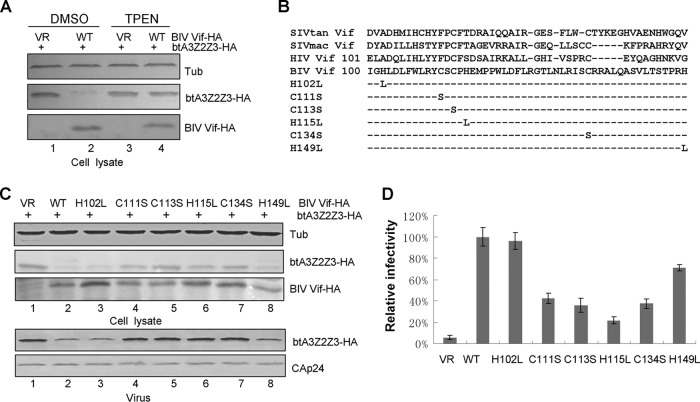 FIG 6