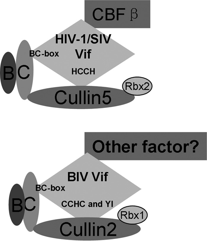 FIG 10